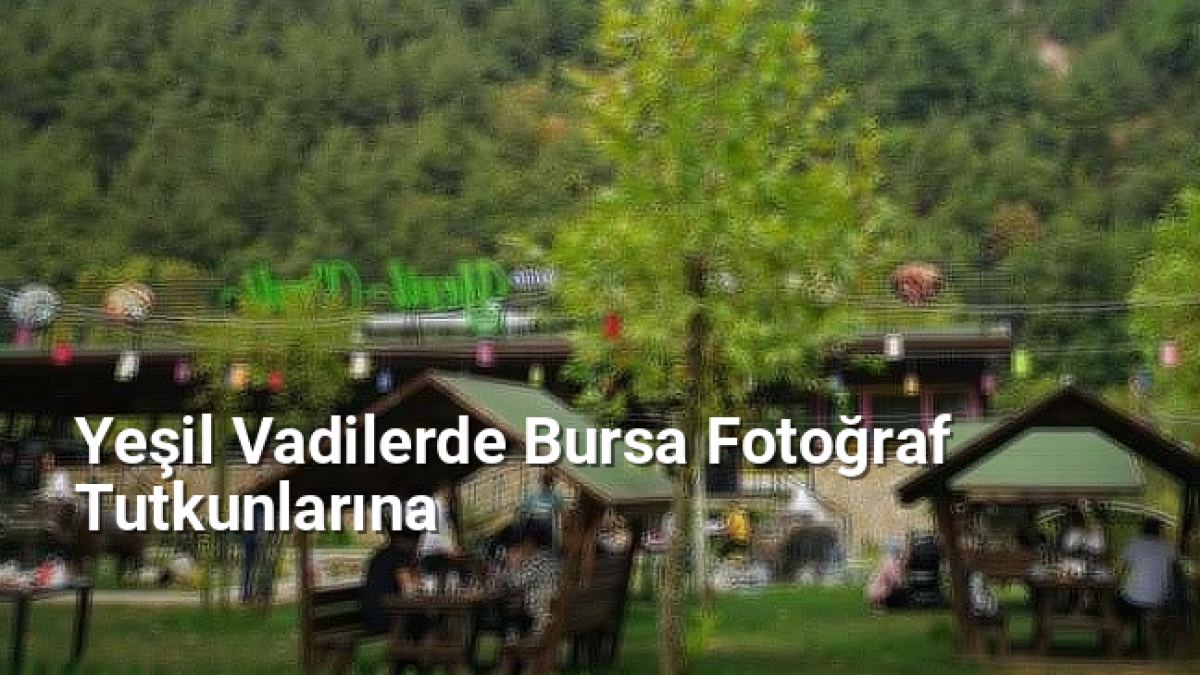 Yeşil Vadilerde Bursa Fotoğraf Tutkunlarına - bursafotograf.net.tc